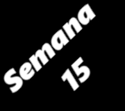 SEMANA15