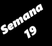 SEMANA19