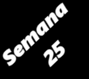 SEMANA25