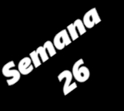 SEMANA26