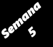 SEMANA5