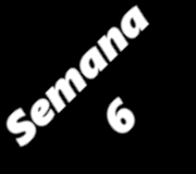 SEMANA6